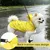 HausPets Impermeable reflectante amarillo para perros, talla M