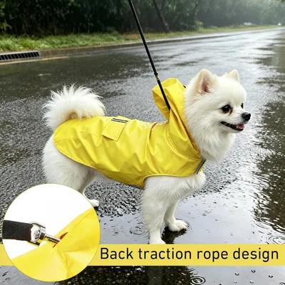 HausPets Impermeable reflectante amarillo para perros, talla M