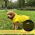 HausPets Impermeable reflectante amarillo para perros, talla M