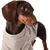 HausPets Suéter suave para perro/gato, talla S HausPets Suéter suave para perro/gato, talla S