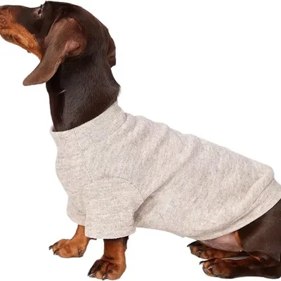 HausPets Suéter suave para perro/gato, talla S