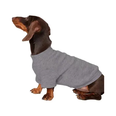 HausPets Suéter suave para perro/gato, talla S HausPets Suéter suave para perro/gato, talla S