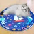 HausPets Tapis refroidissement chat chien 100x100cm bleu rafraîchissant HausPets Tapis refroidissement chat chien 100x100cm bleu rafraîchissant