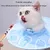 HausPets Elizabeth Halsband für Hunde und Katzen HausPets Elizabeth Halsband für Hunde und Katzen