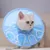 HausPets Elizabeth Halsband für Hunde und Katzen HausPets Elizabeth Halsband für Hunde und Katzen