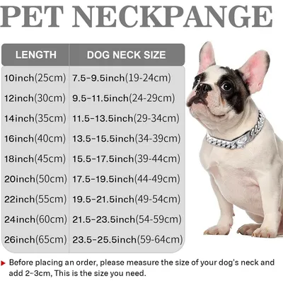 HausPets Edelstahl Halsband Hund 316L 15mm silber 45cm HausPets Edelstahl Halsband Hund 316L 15mm silber 45cm