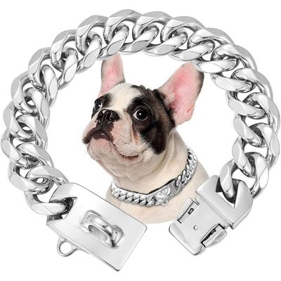 HausPets Edelstahl Halsband Hund 316L 15mm silber 45cm