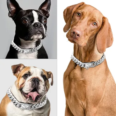 HausPets Edelstahl Halsband Hund 316L 15mm silber 45cm HausPets Edelstahl Halsband Hund 316L 15mm silber 45cm