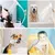 HausPets Douchette Lavabo Animaux Enfant Portable Blanc HausPets Douchette Lavabo Animaux Enfant Portable Blanc