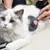 Brosse autonettoyante pour chats et chiens avec bouton de déverrouillage Brosse autonettoyante pour chats et chiens avec bouton de déverrouillage