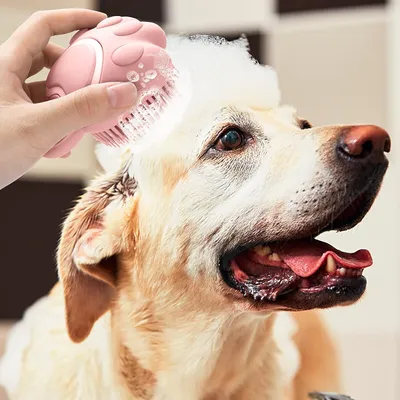 HausPets Brosse bain silicone distributeur shampoing HausPets Brosse bain silicone distributeur shampoing