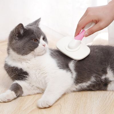 HausPets Brosse Toilettage Chien Chat Autonettoyante Rose