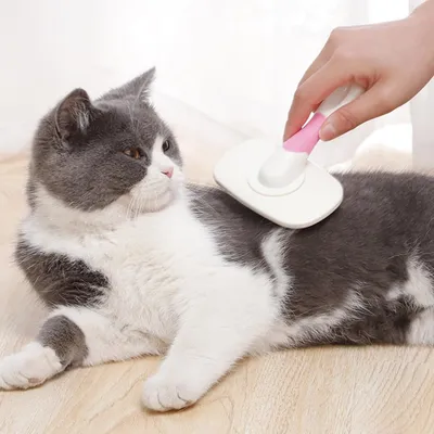 HausPets Brosse Toilettage Chien Chat Autonettoyante Rose HausPets Brosse Toilettage Chien Chat Autonettoyante Rose