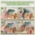 HausPets Brosse autonettoyante vert olive sous-poil HausPets Brosse autonettoyante vert olive sous-poil