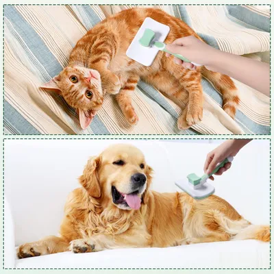 Brosse Chiens Chats, Brosse Épiler Animaux Compagnie, Toilettage Clic Poils Brosse Chiens Chats, Brosse Épiler Animaux Compagnie, Toilettage Clic Poils
