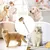 Brosse toilettage toilettage animaux compagnie poils Outil massage chiens Brosse toilettage toilettage animaux compagnie poils Outil massage chiens