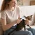 Brosse toilettage toilettage animaux compagnie poils Outil massage chiens Brosse toilettage toilettage animaux compagnie poils Outil massage chiens