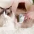 Brosse toilettage toilettage animaux compagnie poils Outil massage chiens Brosse toilettage toilettage animaux compagnie poils Outil massage chiens