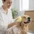 HausPets Brosse bain silicone jaune shampoing intégré HausPets Brosse bain silicone jaune shampoing intégré
