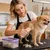 Brosse pelage bois animaux compagnie Outil De-Shedding sous-poil chiens les Brosse pelage bois animaux compagnie Outil De-Shedding sous-poil chiens les