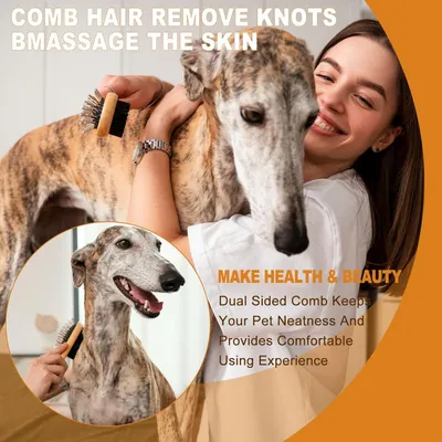 HausPets Brosse double face massage chien/chat HausPets Brosse double face massage chien/chat