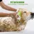 HausPets Brosse bain caoutchouc massage chat/chien HausPets Brosse bain caoutchouc massage chat/chien