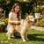 HausPets Peigne Démêlant Chien Chat Acier Inoxydable HausPets Peigne Démêlant Chien Chat Acier Inoxydable