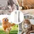 Peignes toilettage brosse toilettage professionnelle fournitures animaux le Peignes toilettage brosse toilettage professionnelle fournitures animaux le