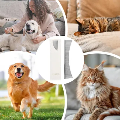 Peignes toilettage brosse toilettage professionnelle fournitures animaux le Peignes toilettage brosse toilettage professionnelle fournitures animaux le