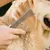 Peignes toilettage brosse toilettage professionnelle fournitures animaux le Peignes toilettage brosse toilettage professionnelle fournitures animaux le