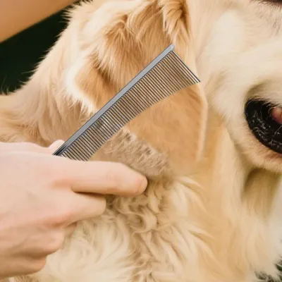 Peignes toilettage brosse toilettage professionnelle fournitures animaux le Peignes toilettage brosse toilettage professionnelle fournitures animaux le