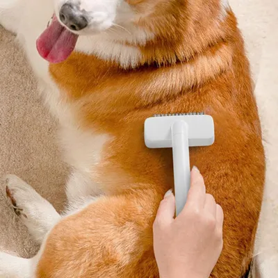 HausPets Brosse long manche démêlante sous-poil HausPets Brosse long manche démêlante sous-poil
