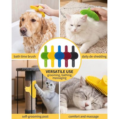 HausPets Lot 5 brosses anti-mue couleurs vives