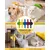 HausPets Lot 5 brosses anti-mue couleurs vives HausPets Lot 5 brosses anti-mue couleurs vives