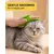 HausPets Lot 5 brosses anti-mue couleurs vives HausPets Lot 5 brosses anti-mue couleurs vives