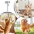 HausPets Brosse autonettoyante tous poils int/ext HausPets Brosse autonettoyante tous poils int/ext