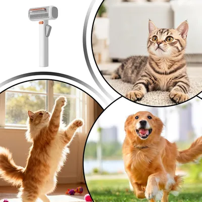 HausPets Brosse autonettoyante tous poils int/ext HausPets Brosse autonettoyante tous poils int/ext