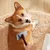 brosses toilettage animaux compagnie, longueur d'aiguille 25 mm Brosse chat brosses toilettage animaux compagnie, longueur d'aiguille 25 mm Brosse chat