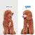 Brosse Rose Chiens Chats, Brosses Animaux Compagnie Longs Courts, des les Brosse Rose Chiens Chats, Brosses Animaux Compagnie Longs Courts, des les