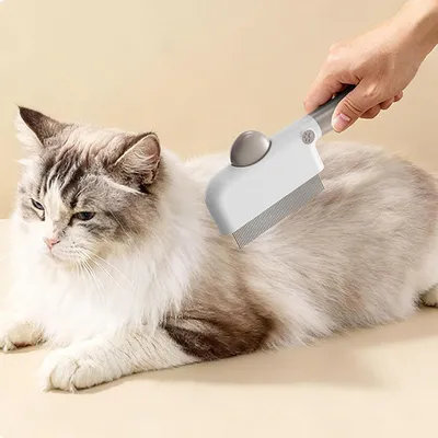 Slicker Brush Brosse Toilettage Chats Chiots Démêlage Élimination Des Chats Slicker Brush Brosse Toilettage Chats Chiots Démêlage Élimination Des Chats
