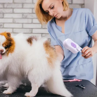 HausPets Brosse toilettage USB poils longs/courts HausPets Brosse toilettage USB poils longs/courts
