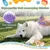 HausPets Brosse douche 2-en-1 violet poils longs/courts HausPets Brosse douche 2-en-1 violet poils longs/courts