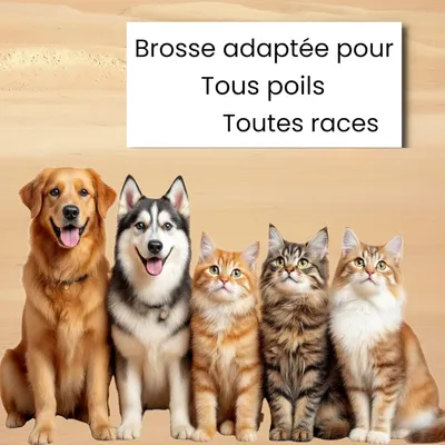 HausPets Brosse double lame pro sous-poil nœuds