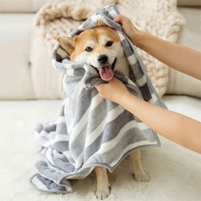 HausPets Peignoir Bain Chien Microfibre Absorbante