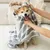 HausPets Bademantel Hund Mikrofaser Absorbierend HausPets Bademantel Hund Mikrofaser Absorbierend