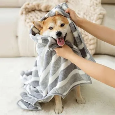 HausPets Bademantel Hund Mikrofaser Absorbierend HausPets Bademantel Hund Mikrofaser Absorbierend