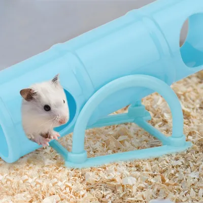 HausPets Tunnel Wippe Hamster blau Plastik Spielzeug HausPets Tunnel Wippe Hamster blau Plastik Spielzeug