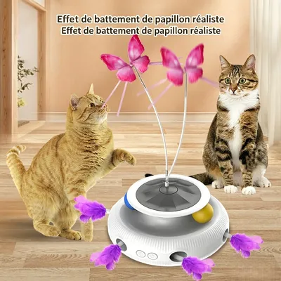 HausPets Jouet interactif chat (papillon, balle, plumes ) 3 fonctions HausPets Jouet interactif chat (papillon, balle, plumes ) 3 fonctions