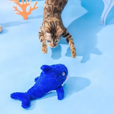 HausPets poisson électrique oscillant USB chat chien interactif Bleu HausPets poisson électrique oscillant USB chat chien interactif Bleu