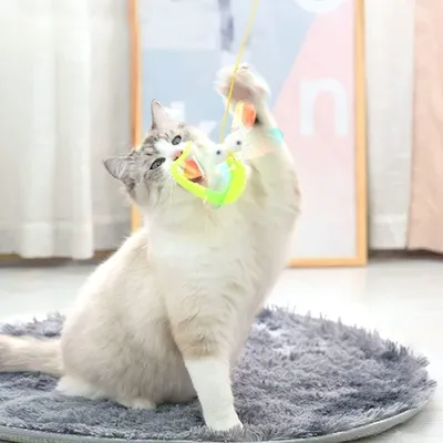 HausPets jouet extensible chat suspendu intérieur 3 souris HausPets jouet extensible chat suspendu intérieur 3 souris